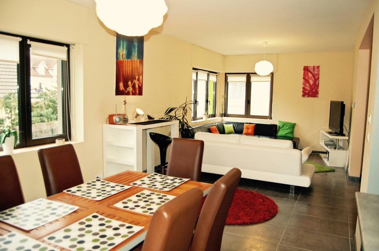 Villa Bonheur Illfurth Alsace 4 Chambres Kültér fotó